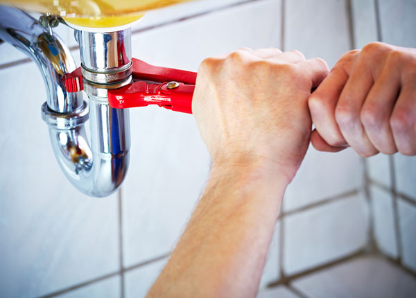 About Robert Plumbers